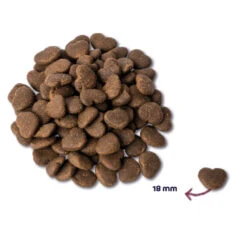 Deli Prins Winkel -Deli Prins Winkel 977891 2