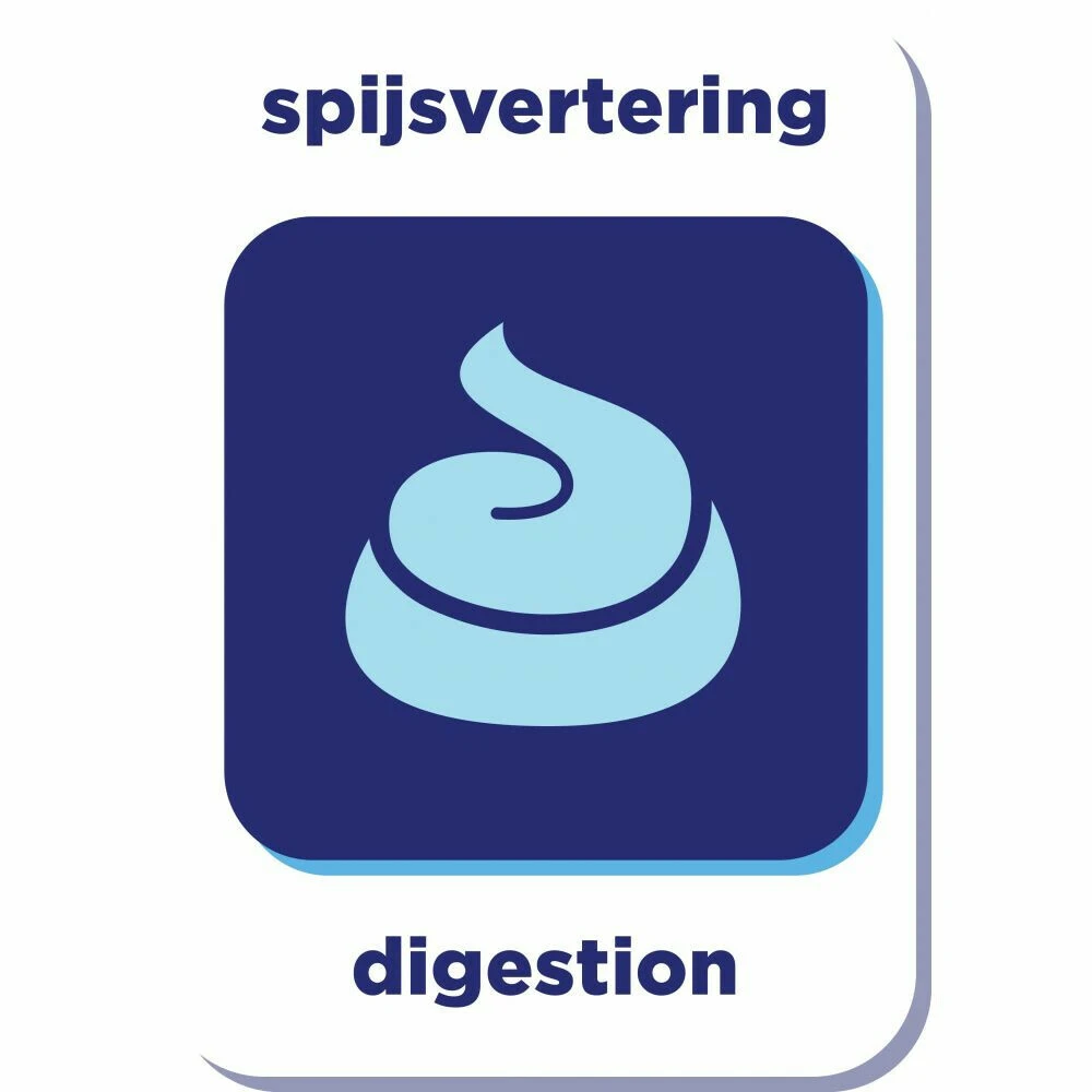 Renske Super Premium Kat Adult Kip 5 Renske Super Premium Kat Adult Kip - Afbeelding 3