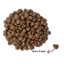 Renske Super Premium Kat Adult Zalm -Deli Prins Winkel 977900 2