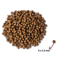 Renske Super Premium Kitten Kalkoen & Kip 7 Renske Super Premium Kitten Kalkoen & Kip -Deli Prins Winkel 977904 2