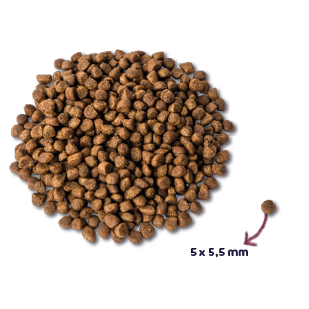 Renske Super Premium Kitten Kalkoen & Kip 4 Renske Super Premium Kitten Kalkoen & Kip - Afbeelding 2