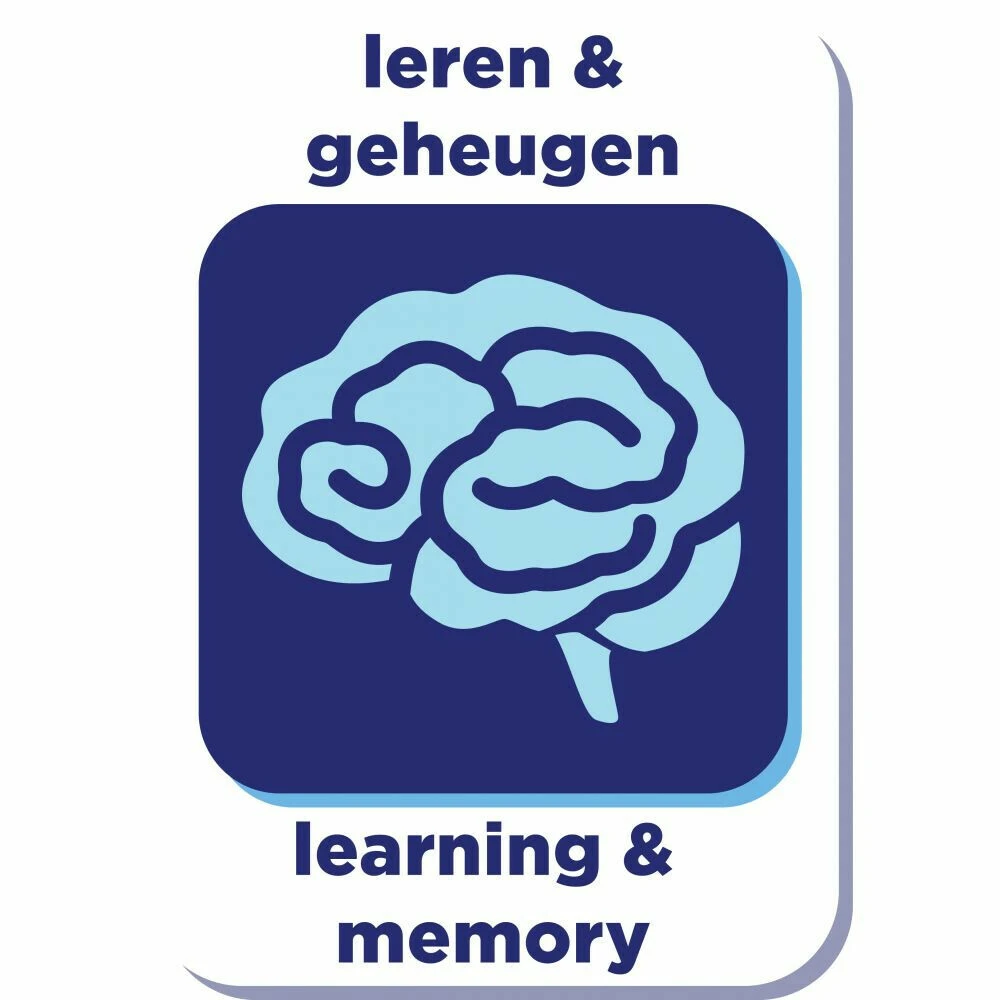 Renske Super Premium Kitten Kalkoen & Kip 5 Renske Super Premium Kitten Kalkoen & Kip - Afbeelding 3