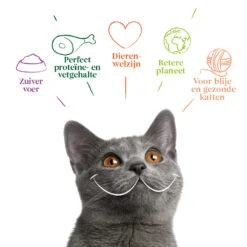 8x Yarrah Bio Kattenvoer Multipack Paté Graanvrij Kip - Rund -Deli Prins Winkel 977932 4