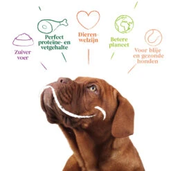 12x Yarrah Bio Hondenvoer Chunks Kip -Deli Prins Winkel 979324 4