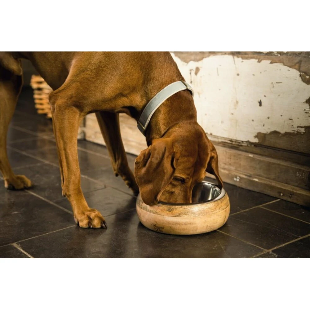 Designed By Lotte Eet- En Drinkbak Mandira 4 Designed By Lotte Eet- En Drinkbak Mandira - Afbeelding 2