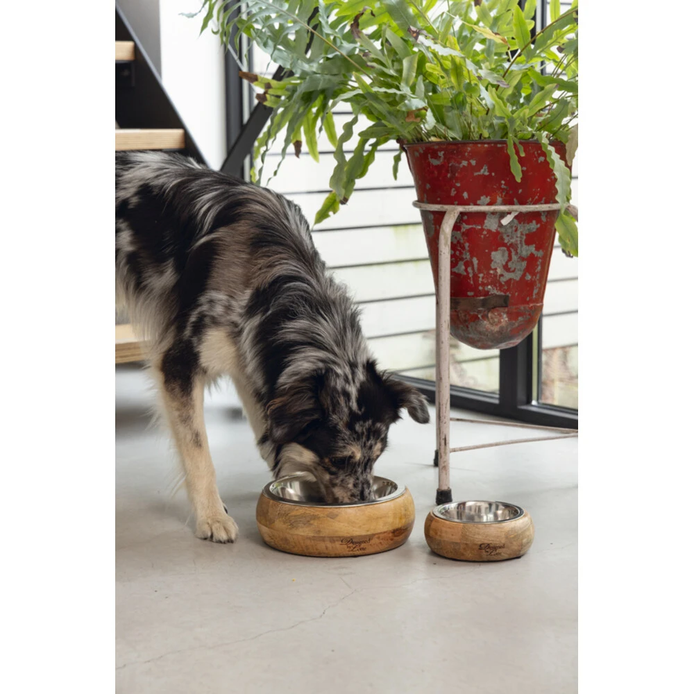 Designed By Lotte Eet- En Drinkbak Mandira 6 Designed By Lotte Eet- En Drinkbak Mandira - Afbeelding 4