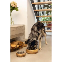 Designed By Lotte Eet- En Drinkbak Mandira 13 Designed By Lotte Eet- En Drinkbak Mandira -Deli Prins Winkel 979880 6