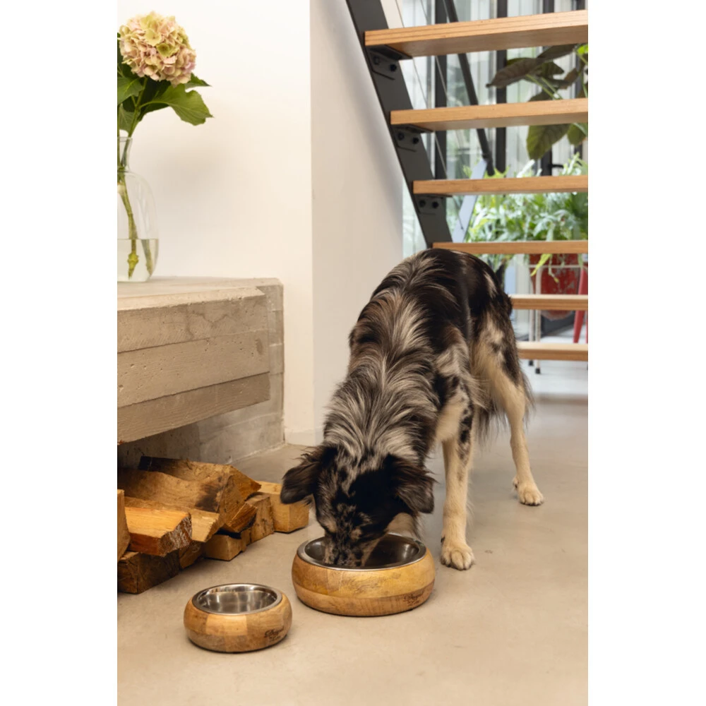 Designed By Lotte Eet- En Drinkbak Mandira 8 Designed By Lotte Eet- En Drinkbak Mandira - Afbeelding 6