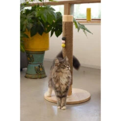 Designed By Lotte Houten Krabpaal Sinora -Deli Prins Winkel 979882 3