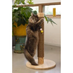 Designed By Lotte Houten Krabpaal Sinora -Deli Prins Winkel 979882 4