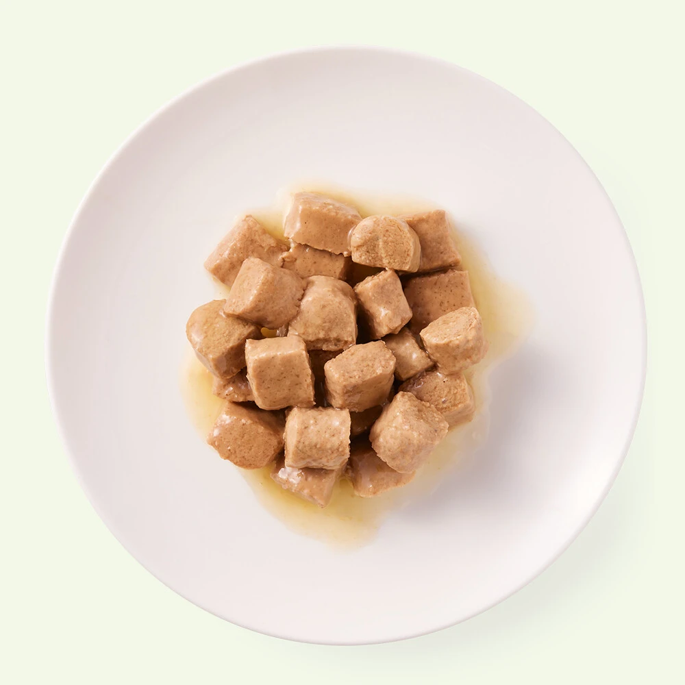 12x Yarrah Bio Kattenvoer Chunks Kip - Kalkoen 5 12x Yarrah Bio Kattenvoer Chunks Kip - Kalkoen - Afbeelding 3