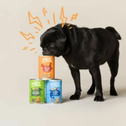 6x Edgard & Cooper Blik Vers Vlees Senior Hondenvoer Kip - Zalm -Deli Prins Winkel 993029 3