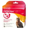 Beaphar Fiprotec Anti Vlooiendruppels Kat Vanaf 1 Kg 2 Beaphar Fiprotec Anti Vlooiendruppels Kat Vanaf 1 Kg -Deli Prins Winkel 993467