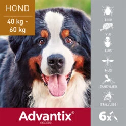 Advantix Spot On 600 Anti Vlooien En Teken Druppels Hond 40 - 60 Kg -Deli Prins Winkel 993468 2