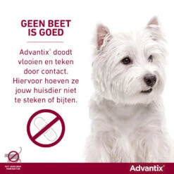Advantix Spot On 600 Anti Vlooien En Teken Druppels Hond 40 - 60 Kg -Deli Prins Winkel 993468 4